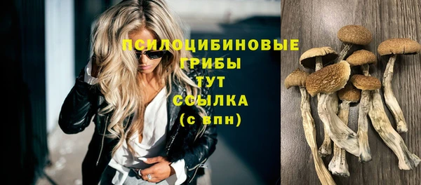 трава Алзамай