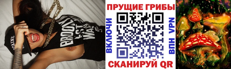 Галлюциногенные грибы Magic Shrooms Боровск